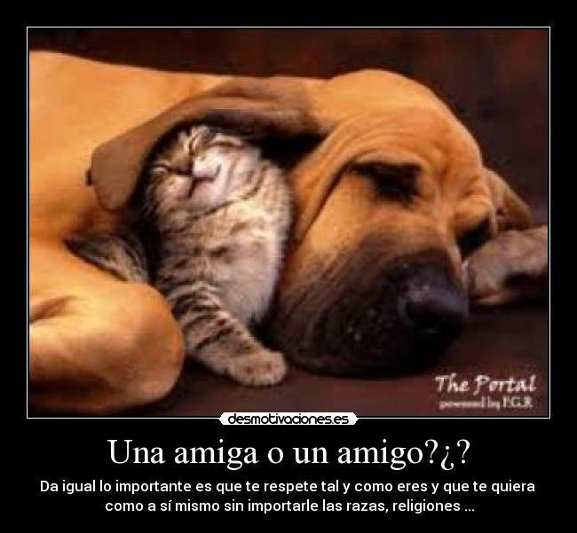 Una amiga o un amigo?¿? -