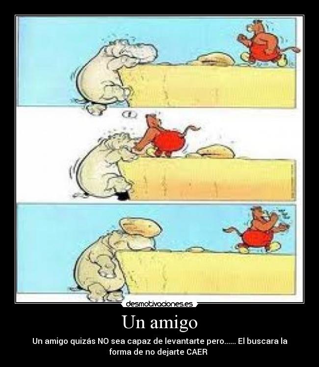 Un amigo - Un amigo quizás NO sea capaz de levantarte pero...... El buscara la
forma de no dejarte CAER