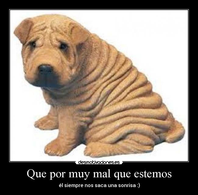 Que por muy mal que estemos - él siempre nos saca una sonrisa :)