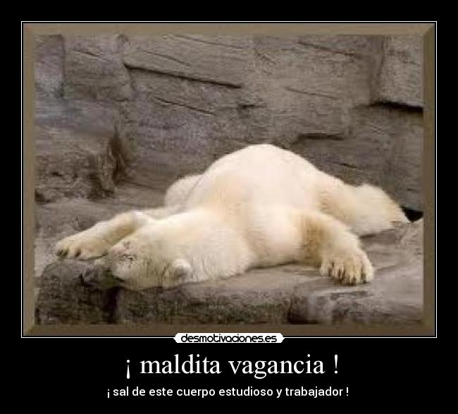 ¡ maldita vagancia ! -