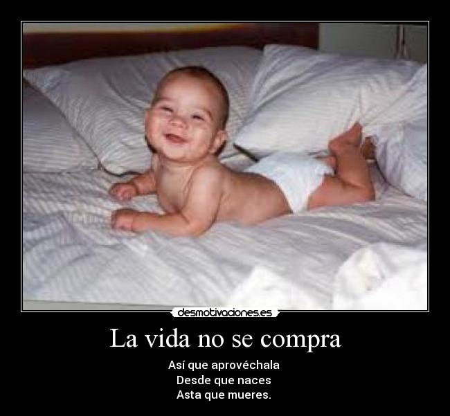 La vida no se compra - Así que aprovéchala 
Desde que naces 
Asta que mueres. 