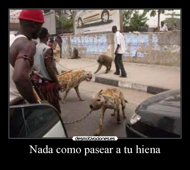 carteles ame33 desmotivaciones