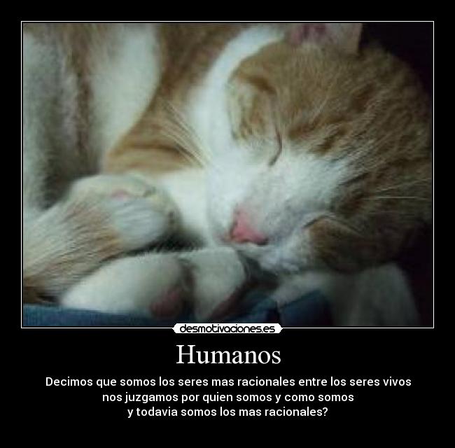 Humanos - Decimos que somos los seres mas racionales entre los seres vivos
nos juzgamos por quien somos y como somos
y todavia somos los mas racionales?