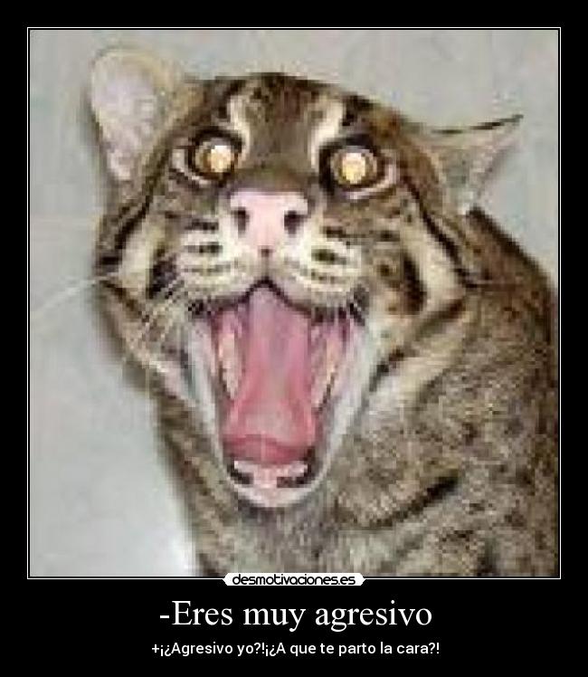 -Eres muy agresivo -