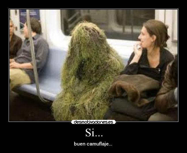 Si... - buen camuflaje... 