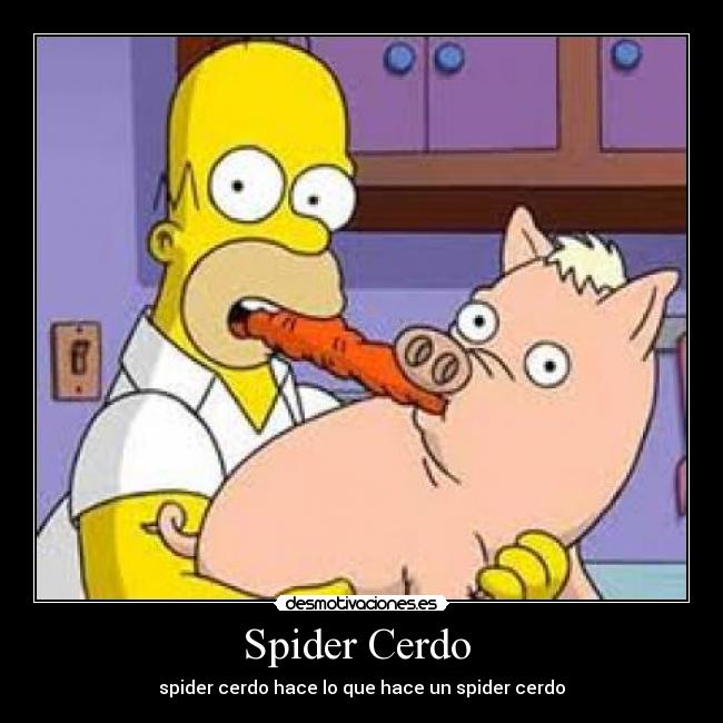 Spider Cerdo - spider cerdo hace lo que hace un spider cerdo