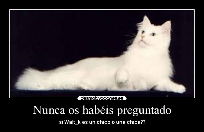 Nunca os habéis preguntado -
