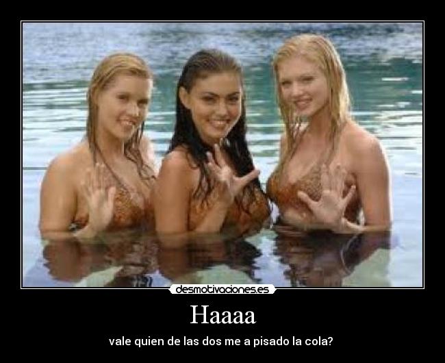 Haaaa - vale quien de las dos me a pisado la cola?
