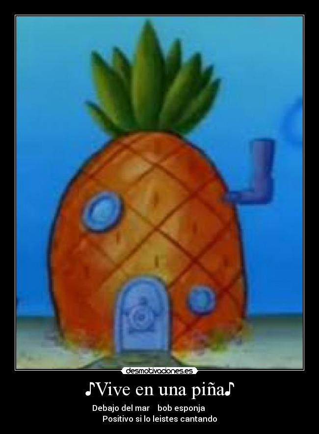 ♪Vive en una piña♪ - 