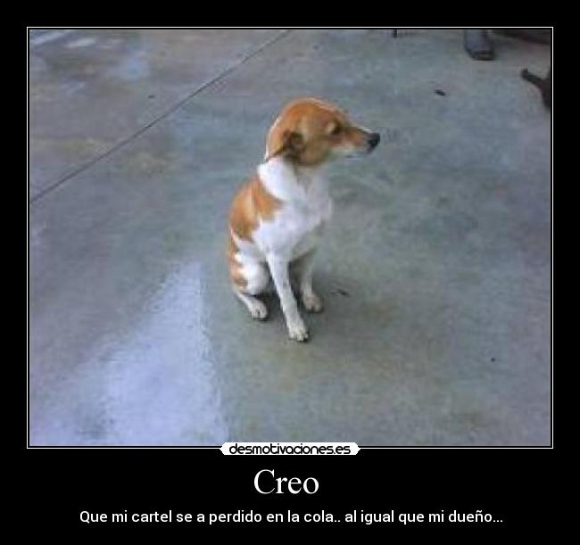 Creo -