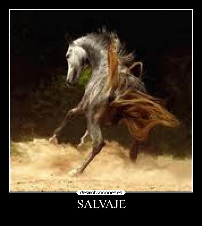 carteles dannyesku99 desmotivaciones