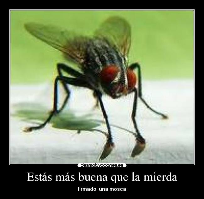 Estás más buena que la mierda -