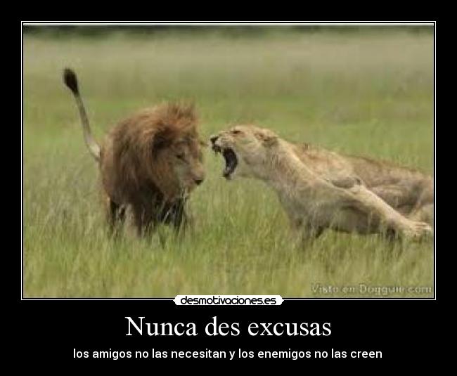 Nunca des excusas -
