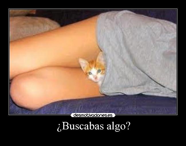 ¿Buscabas algo? -