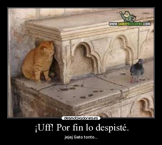 ¡Uff! Por fin lo despisté. -