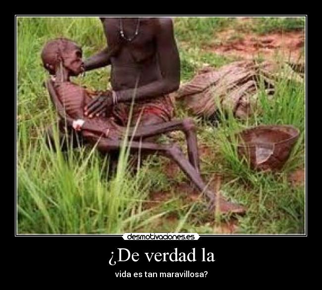 ¿De verdad la - vida es tan maravillosa?