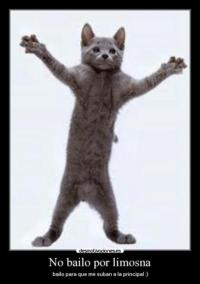 No bailo por limosna -
