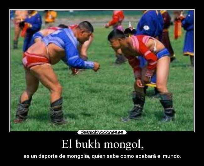 El bukh mongol, - 
