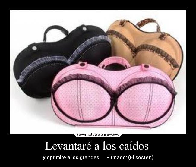 Levantaré a los caídos - y oprimiré a los grandes Firmado: (El sostén)