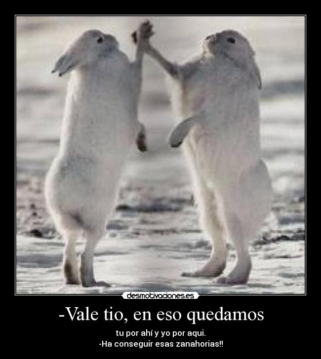 -Vale tio, en eso quedamos -