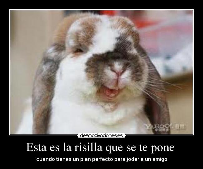 Esta es la risilla que se te pone -