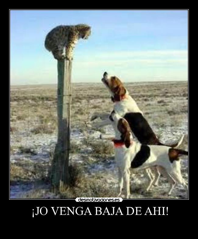 carteles dannyesku99 desmotivaciones