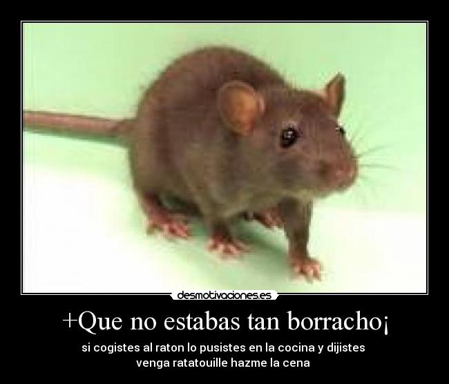 +Que no estabas tan borracho¡ - si cogistes al raton lo pusistes en la cocina y dijistes 
venga ratatouille hazme la cena 