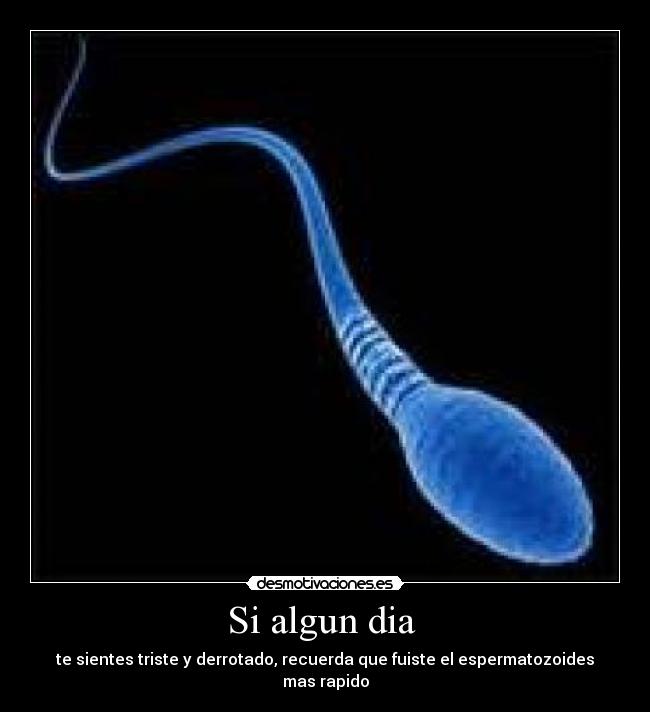 Si algun dia  - te sientes triste y derrotado, recuerda que fuiste el espermatozoides mas rapido