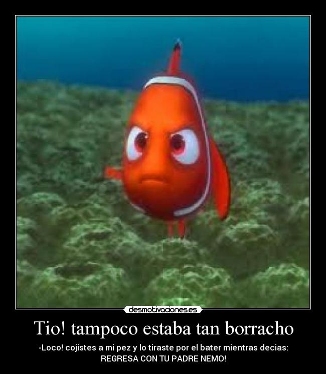 Tio! tampoco estaba tan borracho - 