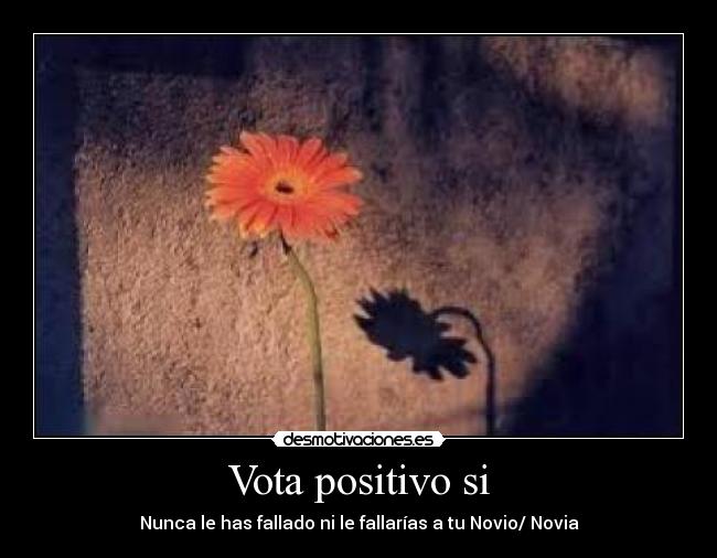 Vota positivo si - Nunca le has fallado ni le fallarías a tu Novio/ Novia