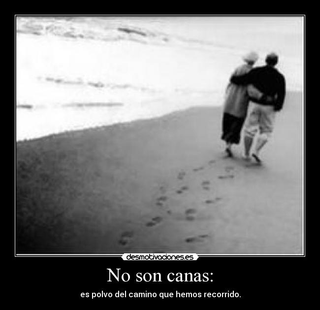 No son canas: - es polvo del camino que hemos recorrido.
