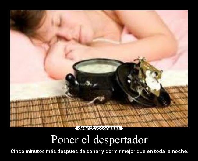 carteles despues dormir cinco minutos desmotivaciones