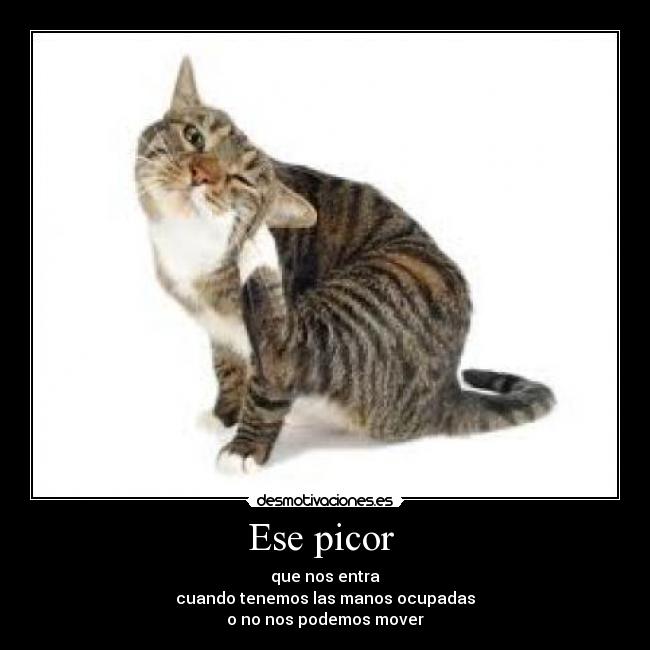 Ese picor -