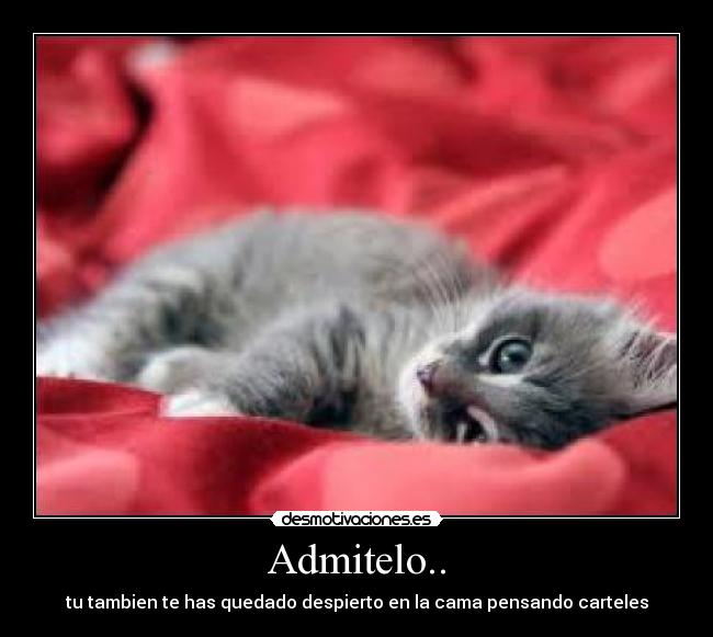 Admitelo.. - tu tambien te has quedado despierto en la cama pensando carteles