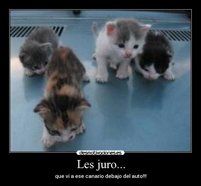 Les juro... - 