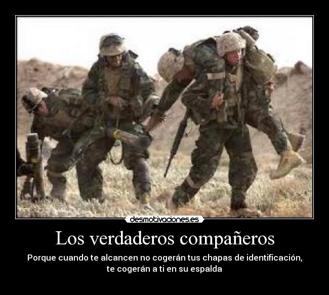 Los verdaderos compañeros -