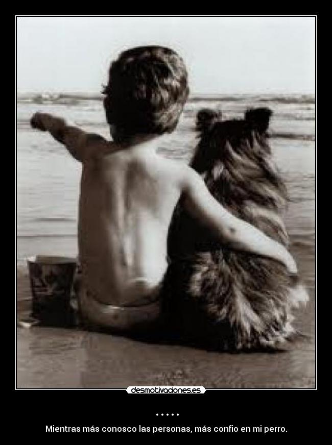 ..... - Mientras más conosco las personas, más confio en mi perro.