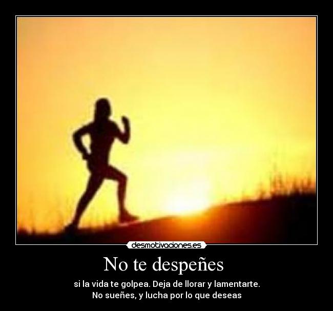 No te despeñes  - 