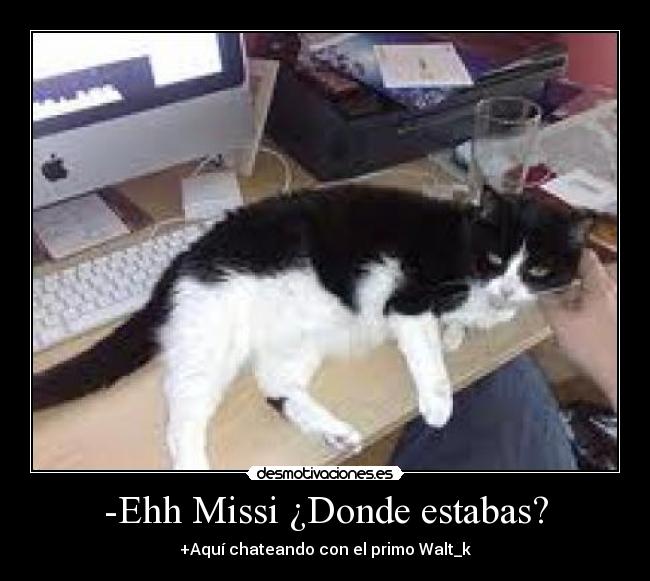 -Ehh Missi ¿Donde estabas? - +Aquí chateando con el primo Walt_k