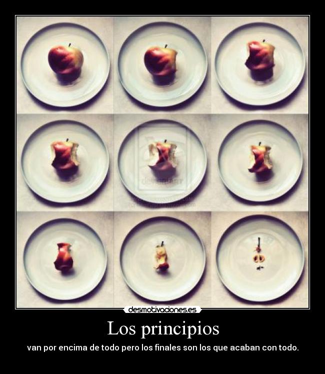 Los principios - 