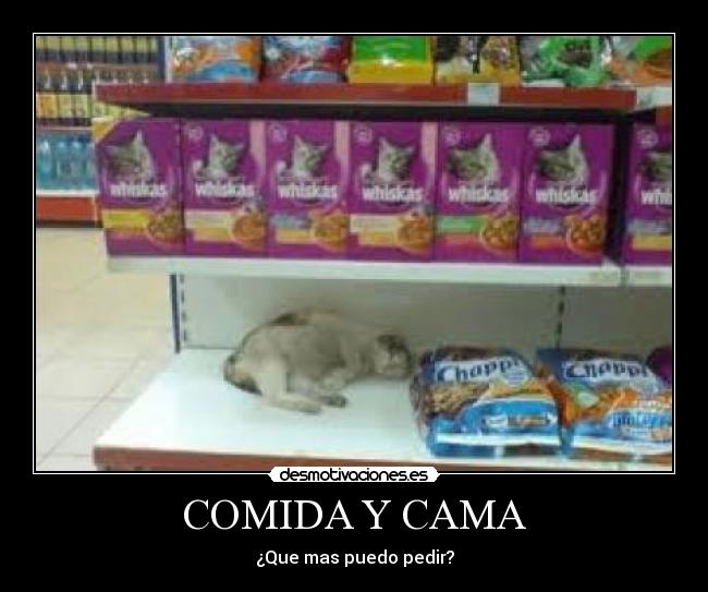 COMIDA Y CAMA -
