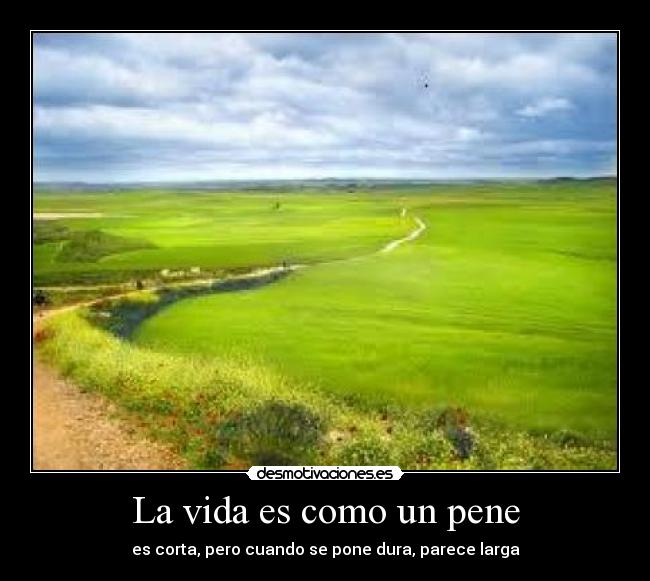 La vida es como un pene -