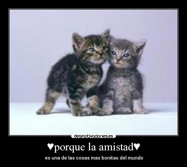 ♥porque la amistad♥ -