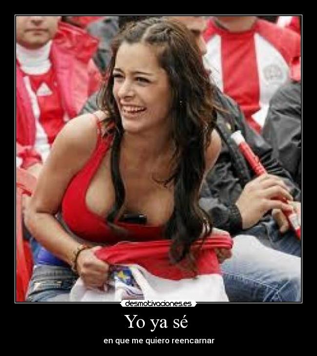 Yo ya sé - en que me quiero reencarnar