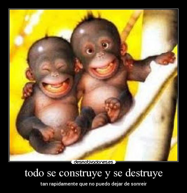 carteles bichiluz_02 desmotivaciones