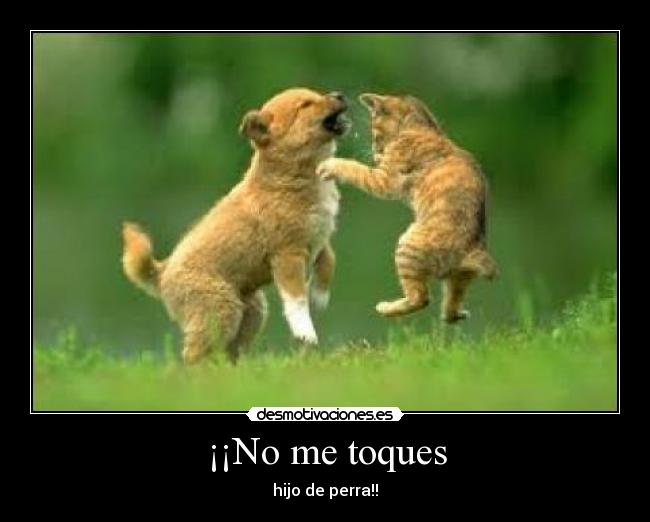 ¡¡No me toques - 