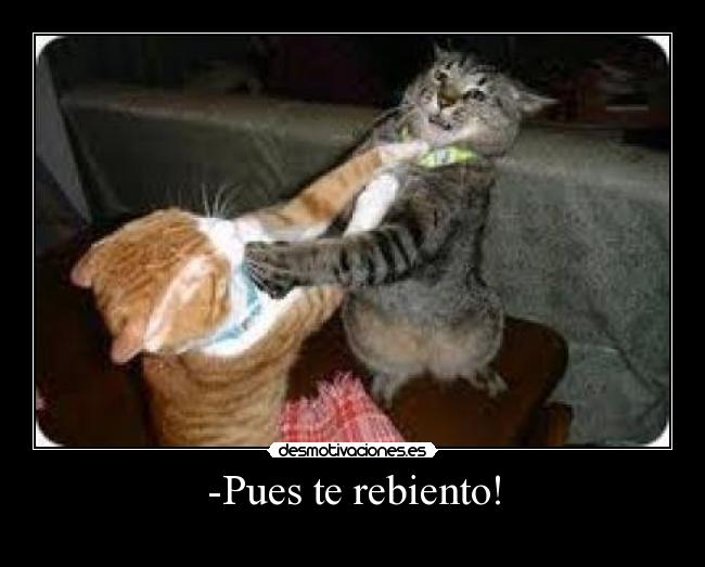 -Pues te rebiento! - 