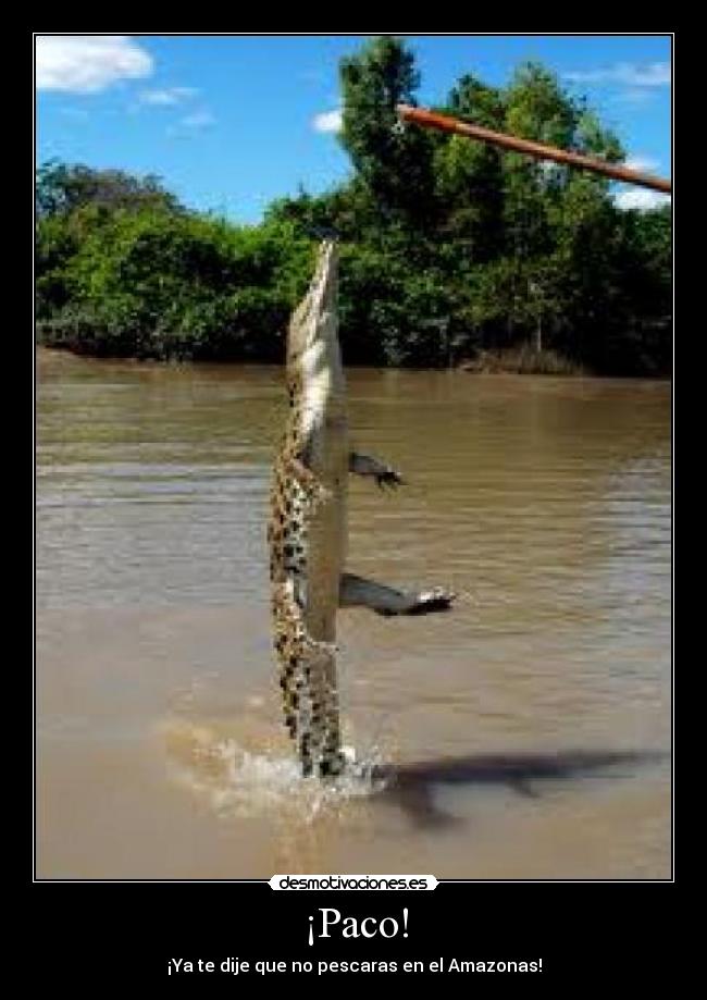 ¡Paco! - ¡Ya te dije que no pescaras en el Amazonas!