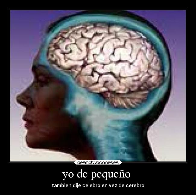 yo de pequeño - tambien dije celebro en vez de cerebro
