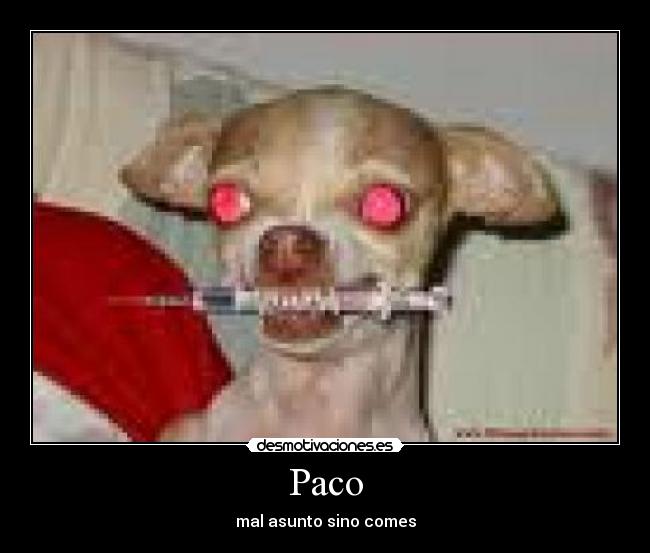 Paco - 